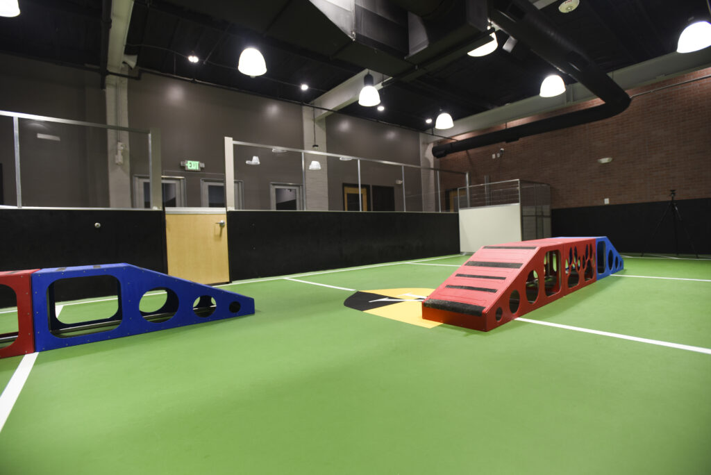 Flooring for Dog Daycare Rooms – Pawsibly the Most Difficult Decision